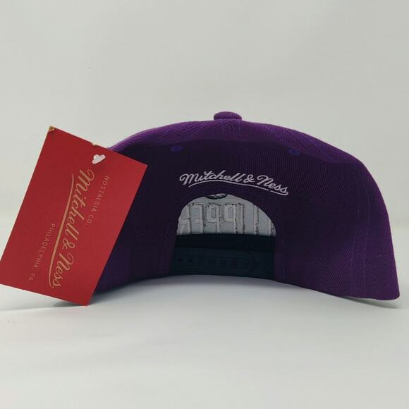 MITCHELL & NESS Los Angeles Clippers Snapback Purple Grape Paisley Pink Brim Hat - Picture 5 of 6